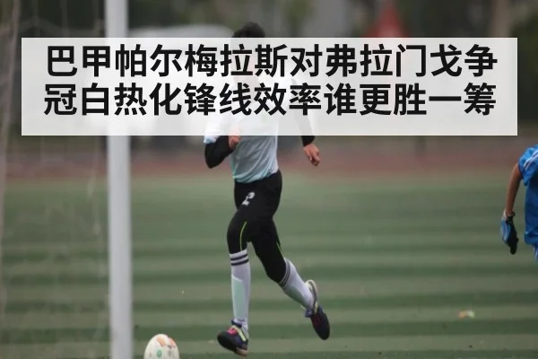 巴甲帕尔梅拉斯对弗拉门戈争冠白热化锋线效率谁更胜一筹